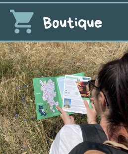 Un guide pour randonner en Forez-Est