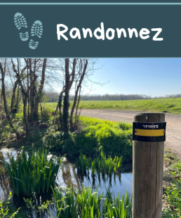 Randonnée la Voie Verte