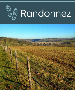 Sentier entre plaine et mont