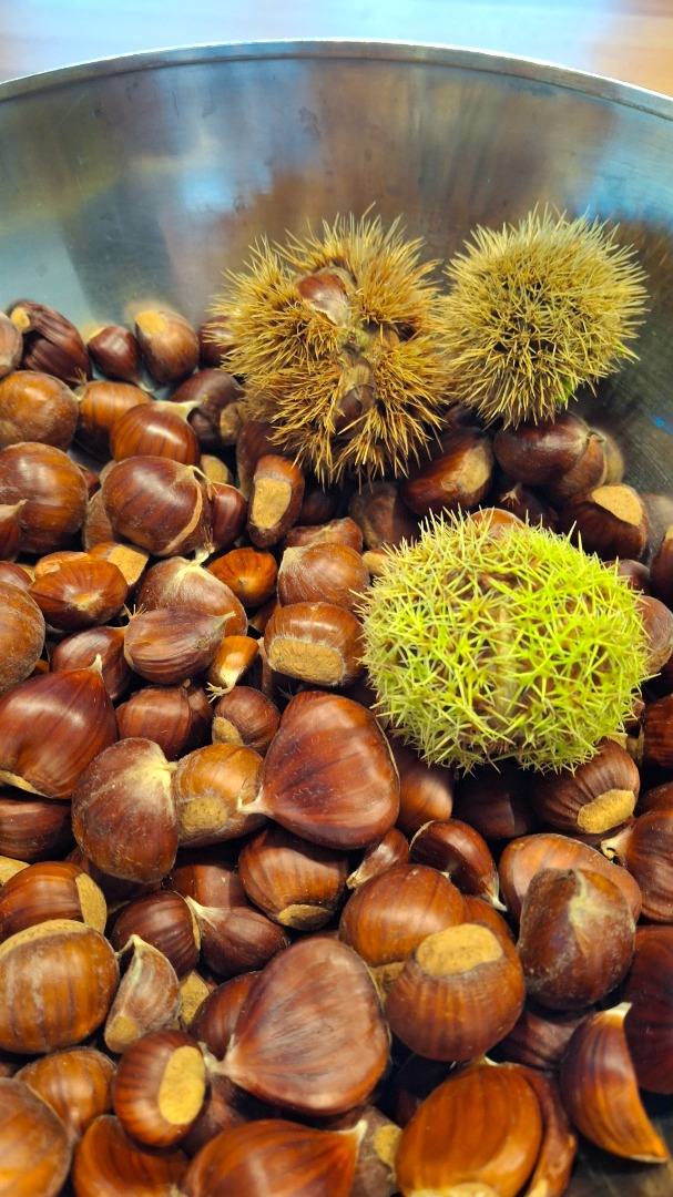 chestnut salad bowl