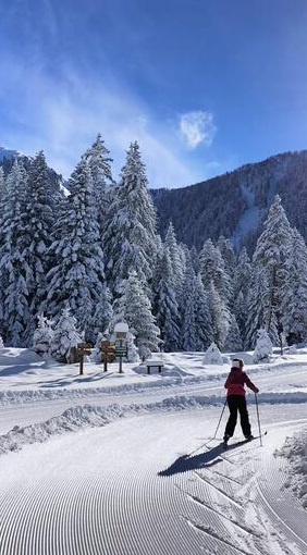 Personne de dos faisant du ski de fond, paysage