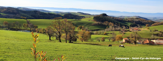 Campagne - Saint-Cyr-de-Valorges