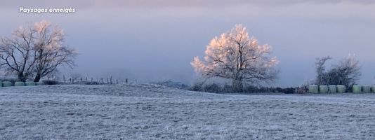 Paysage gelé Montrond-les-Bains