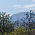 Fenêtre sur..Gap Tallard Tourisme