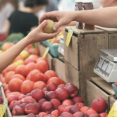 Marchés 